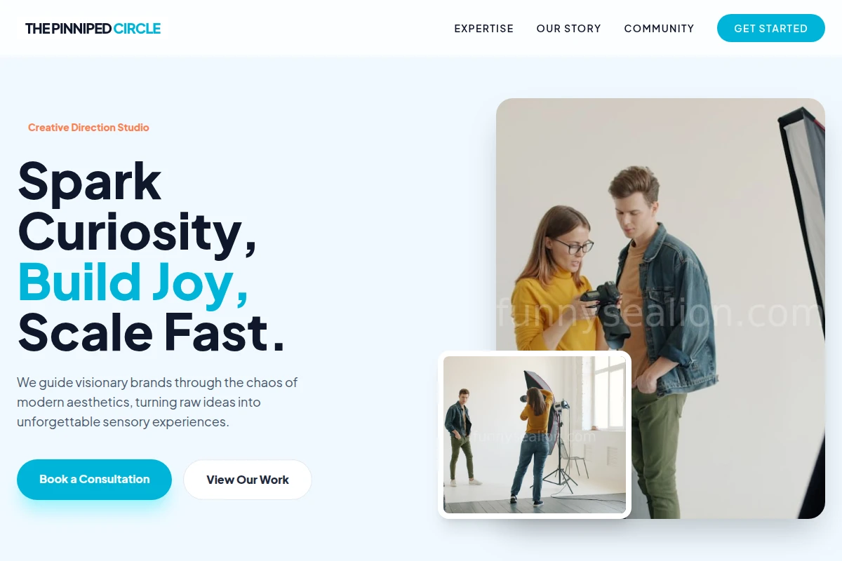 Bellow Creative Direction