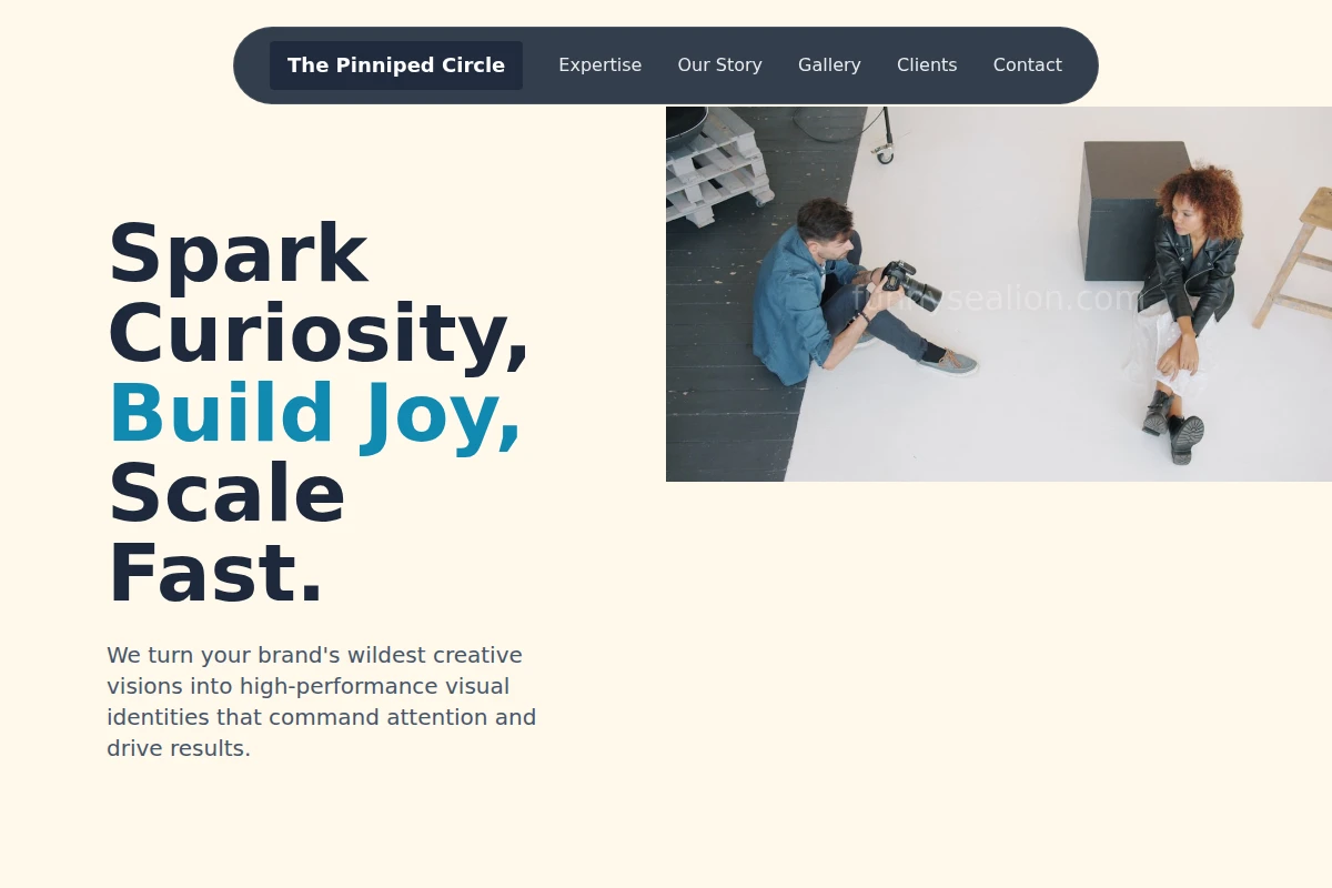 Splash Creative Direction