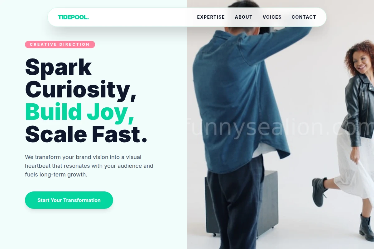 Tidepool Creative Direction